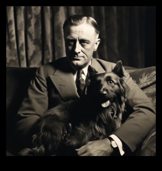 סלבריטאים כלבים: כלבים מפורסמים בתרבות הפופ