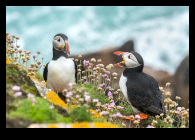 חברים נוצות: הבנת התנהגות העופות
