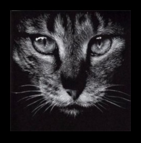 מעבר לריאליזם: בחינת אפשרויות מופשטות עם פחם