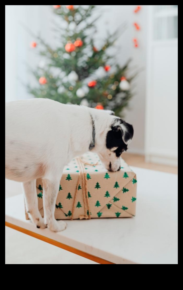 תענוגות מסנוורים ללא כפות: שמירה על חיית המחמד שלך נוצצת ומסוגננת