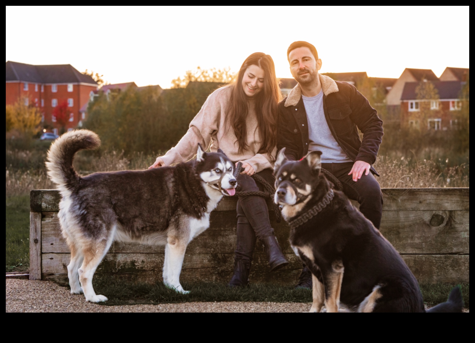 תענוגות מסנוורים ללא כפות: שמירה על חיית המחמד שלך נוצצת ומסוגננת