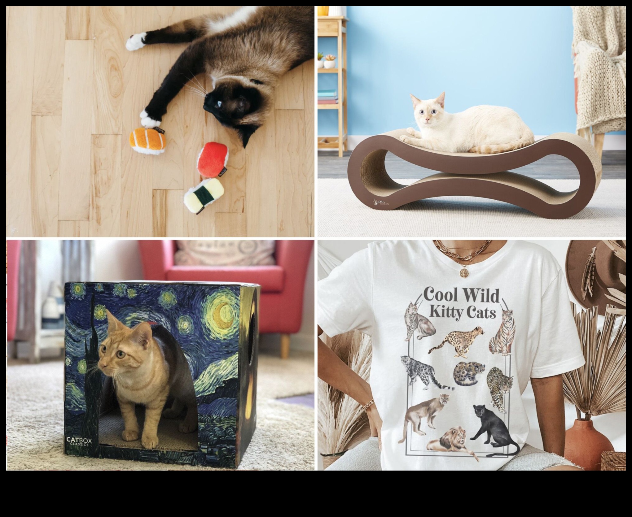 קרנבל חתול עשה זאת בעצמך: תכנון אירוע כפות לחתול שלך