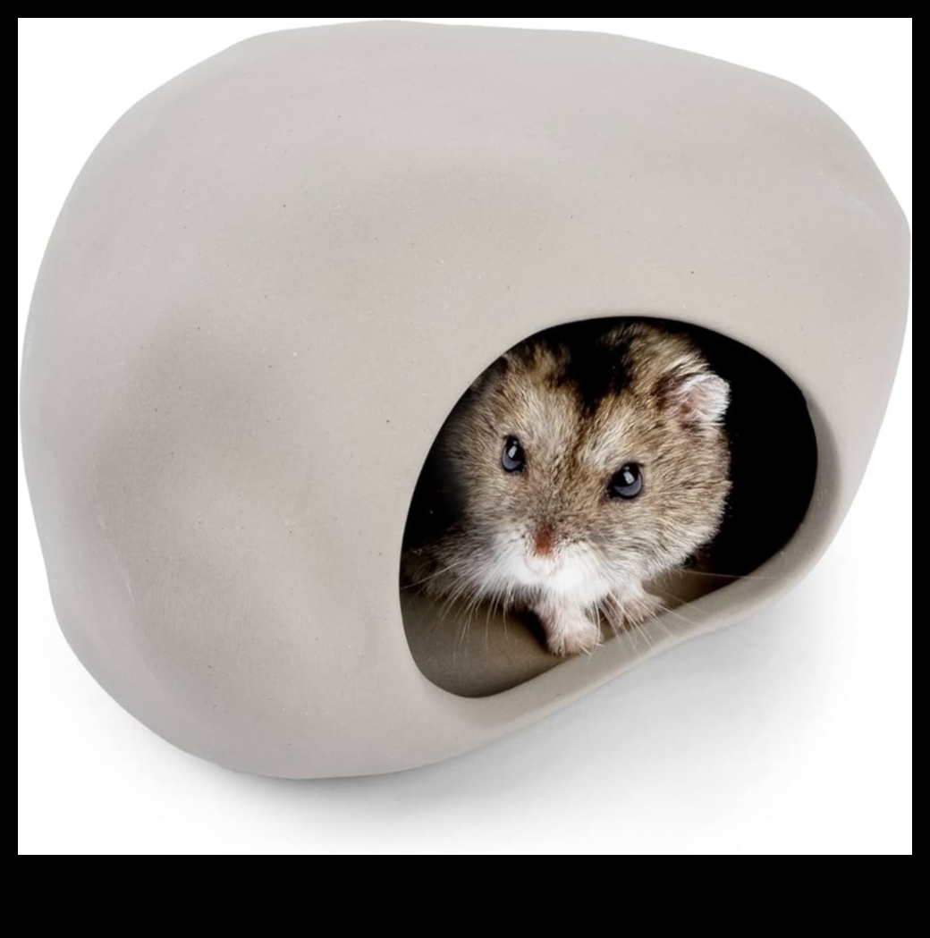 המשך מחבוא אוגר: ​​יצירת נקודות מסתור נבונות