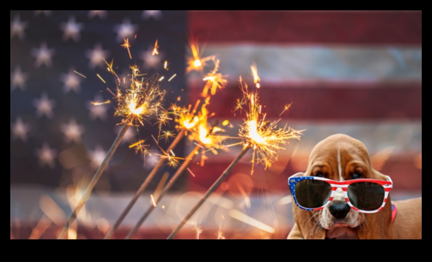 פחד זיקוקים: ניהול חרדת חיות מחמד במהלך חגיגות רועשות