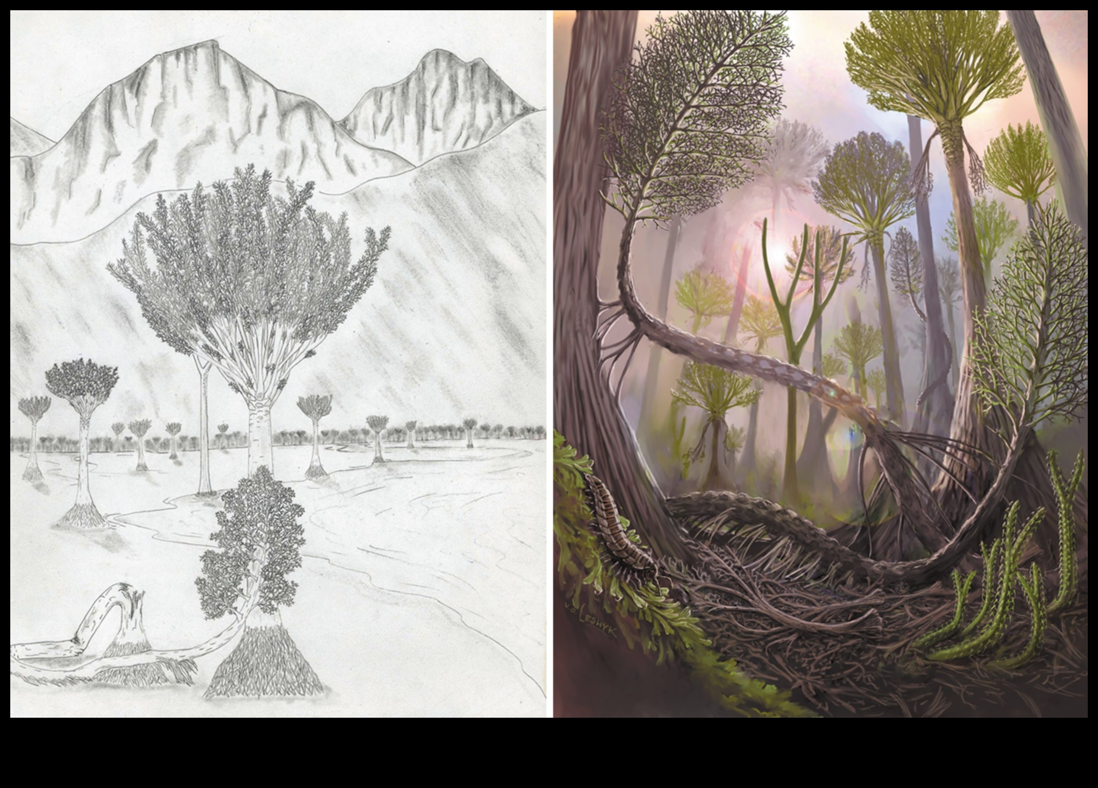 דיאגרמות מדעיות המעבירות רעיונות מורכבים באמצעות אמנות 3 דיאגרמות מדעיות: העברת רעיונות מורכבים באמצעות אמנות