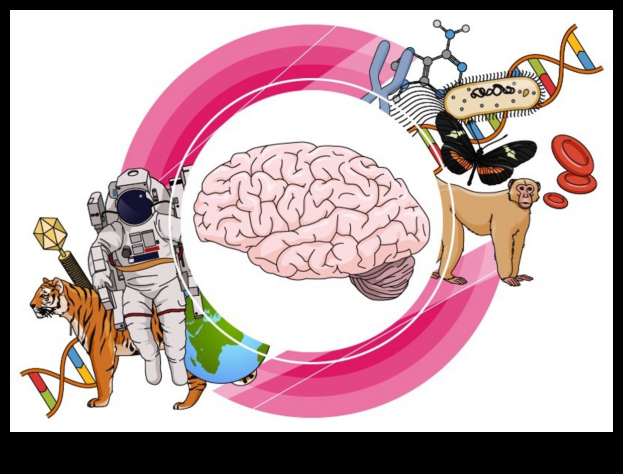 דיאגרמות מדעיות המעבירות רעיונות מורכבים באמצעות אמנות 4 דיאגרמות מדעיות: העברת רעיונות מורכבים באמצעות אמנות