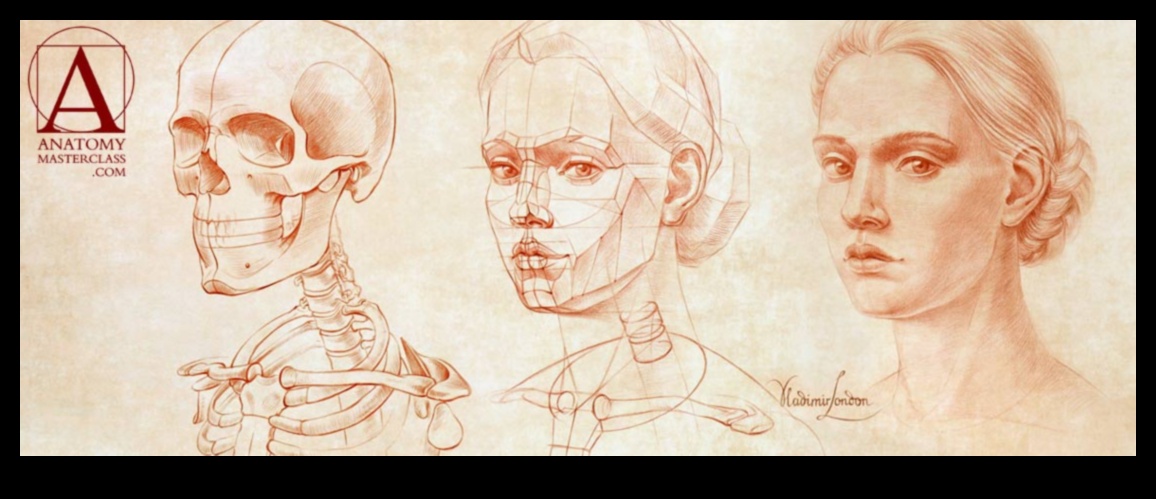 שליטה בציורי חיים: מאנטומיה לביטוי יצירתי