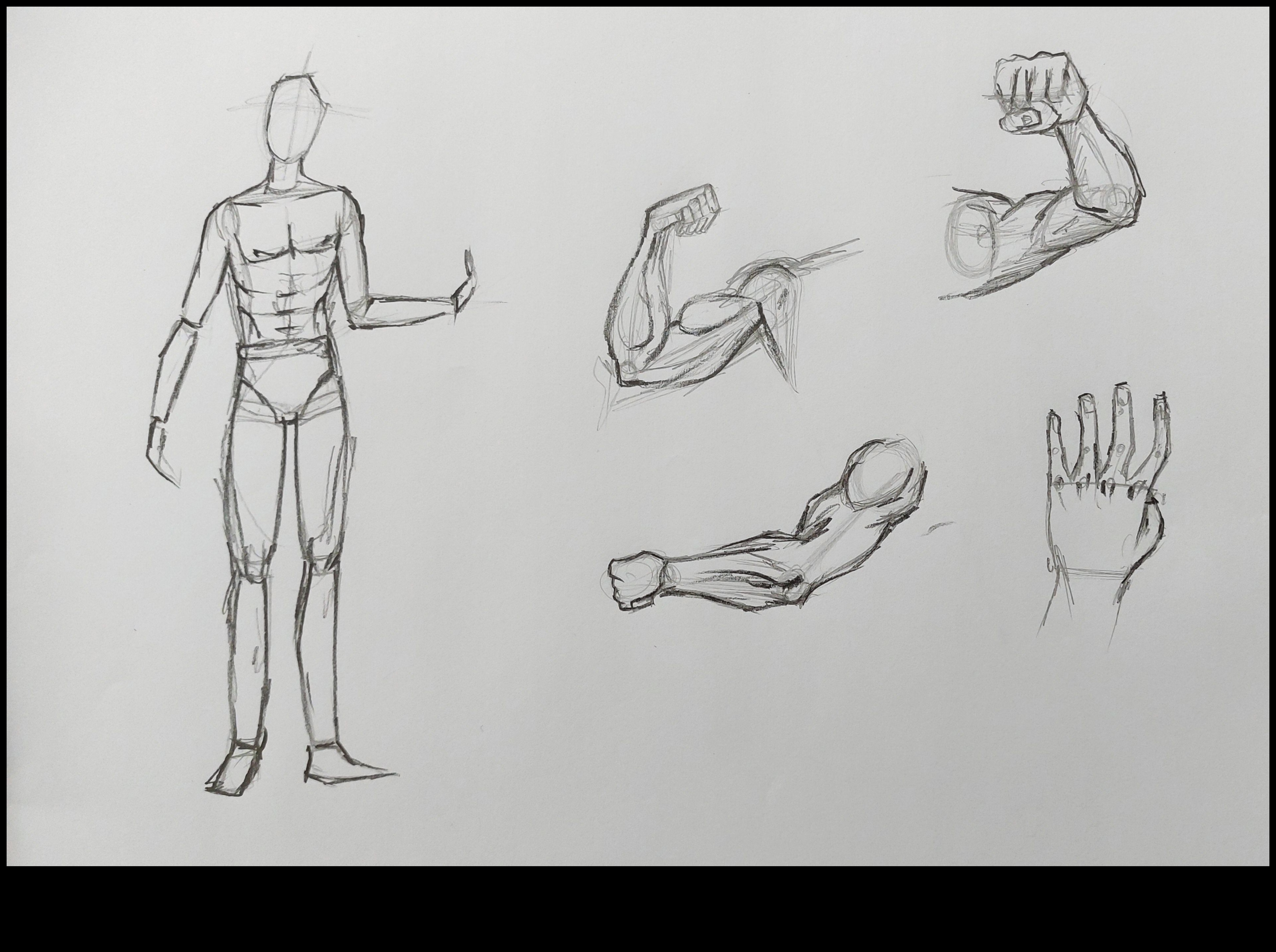 שליטה בציורי חיים: מאנטומיה לביטוי יצירתי