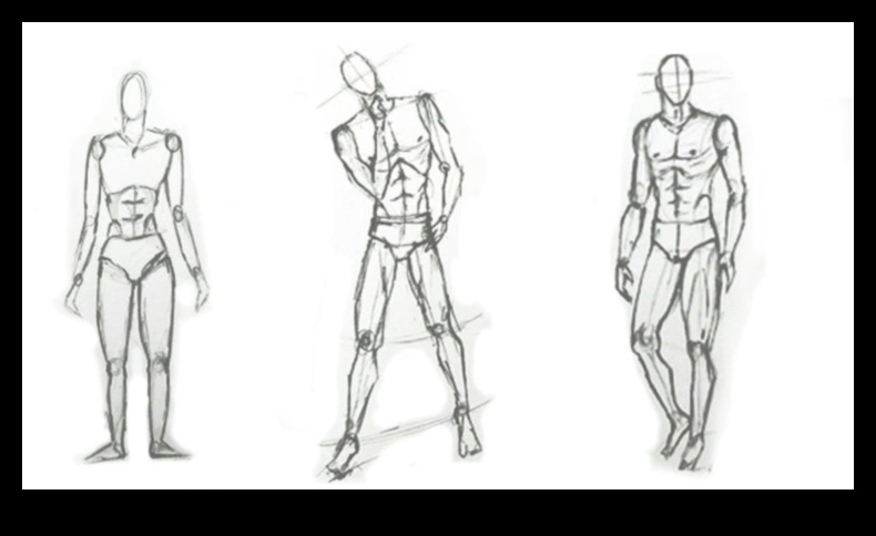 שליטה בציורי חיים: מאנטומיה לביטוי יצירתי