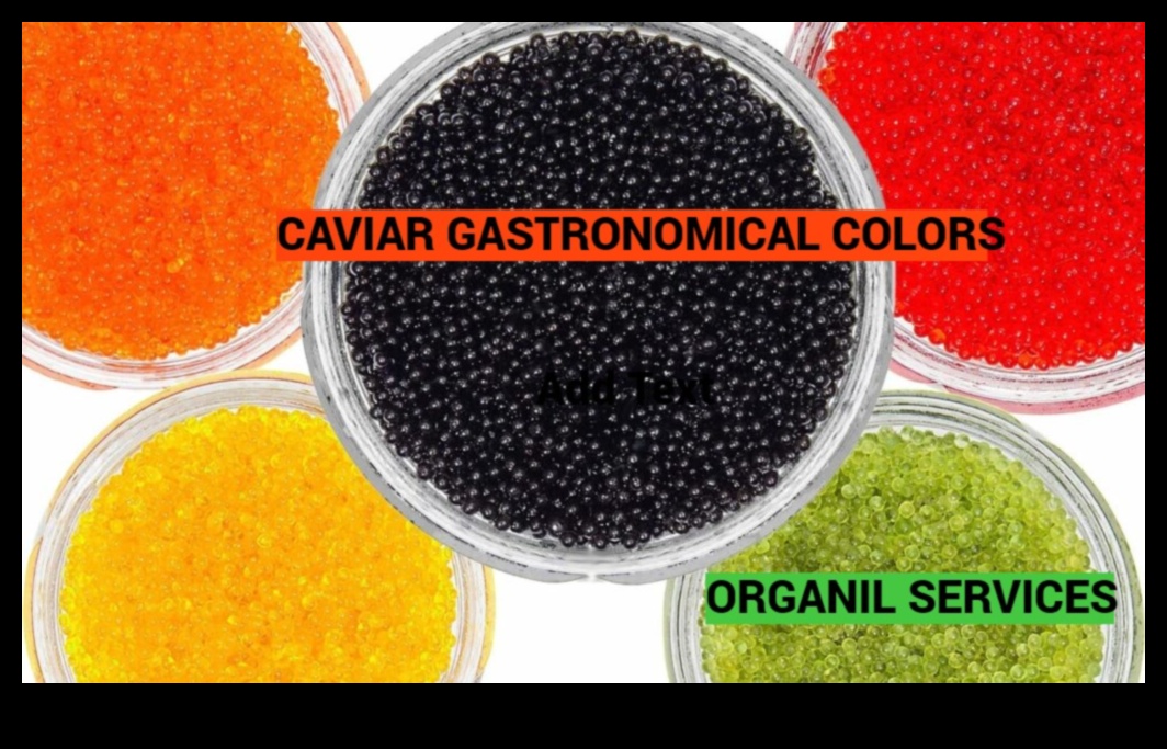 אקווה מטבח: הרפתקאות קולינריות עם מיני דגים פחות מוכרים