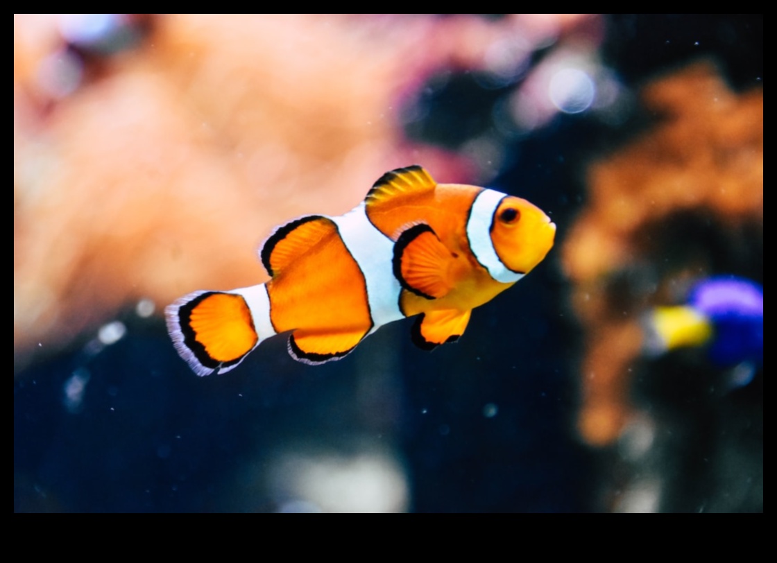 אקווה מטבח: הרפתקאות קולינריות עם מיני דגים פחות מוכרים