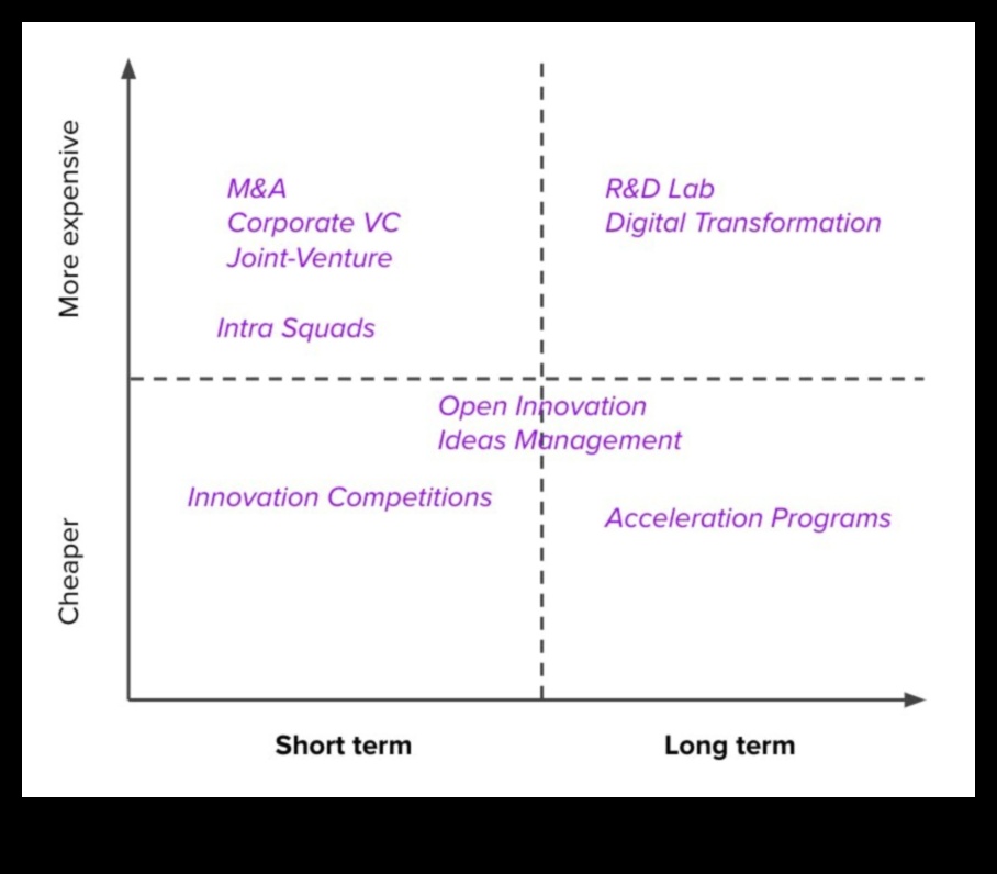 מעבר לגבולות: חידושים בפיתוח עסקי