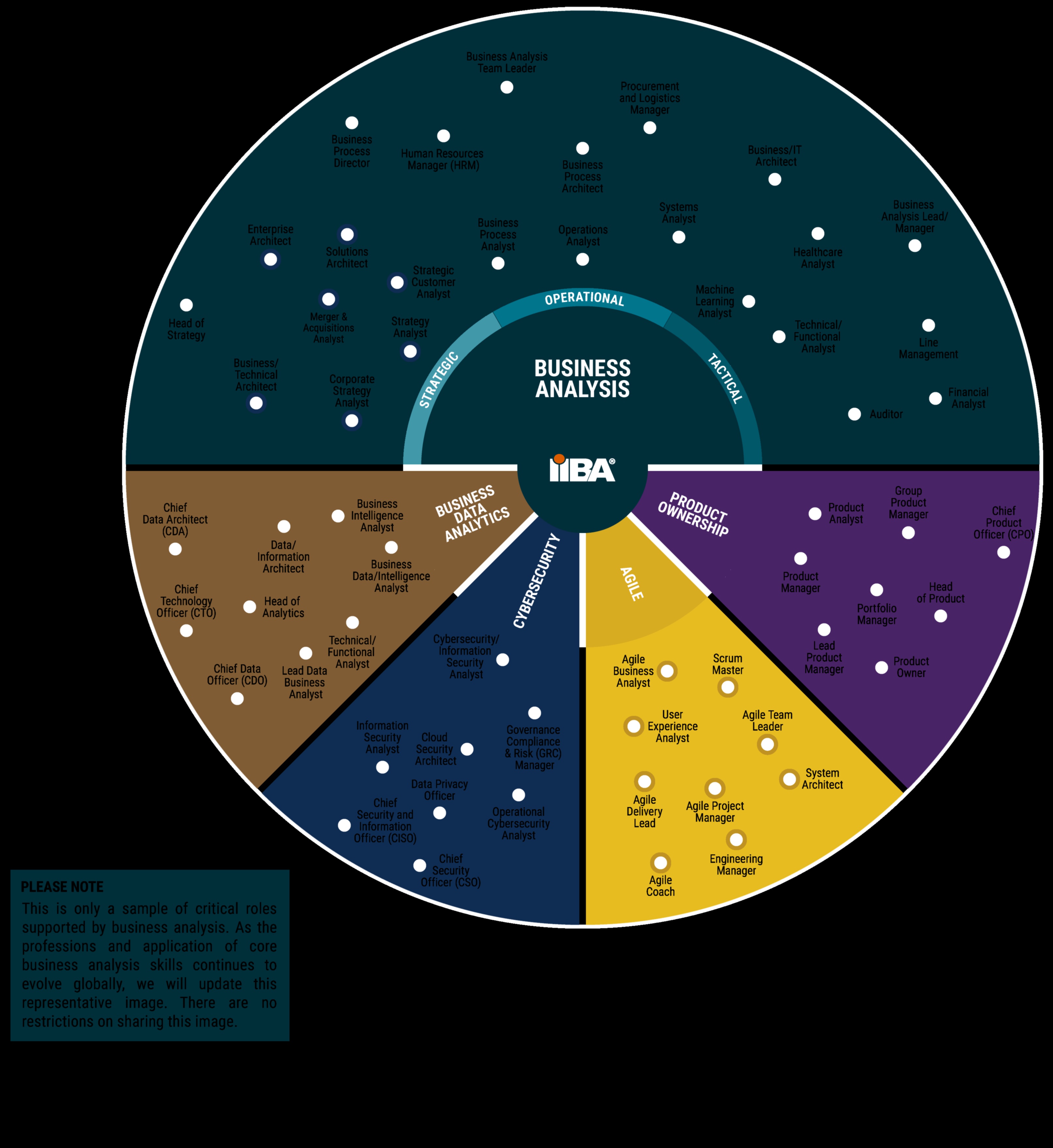 זרזי ניתוח כיצד להאיץ את הצלחת הניתוח העסקי 2 זרזי ניתוח: האצת הצלחת הניתוח העסקי