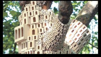 Avian Architects: בניית בתי ציפורים מופלאים