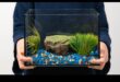 Fish Tank DIY המשך: מיחזור ו-Upcycling בעיצוב אקווריום