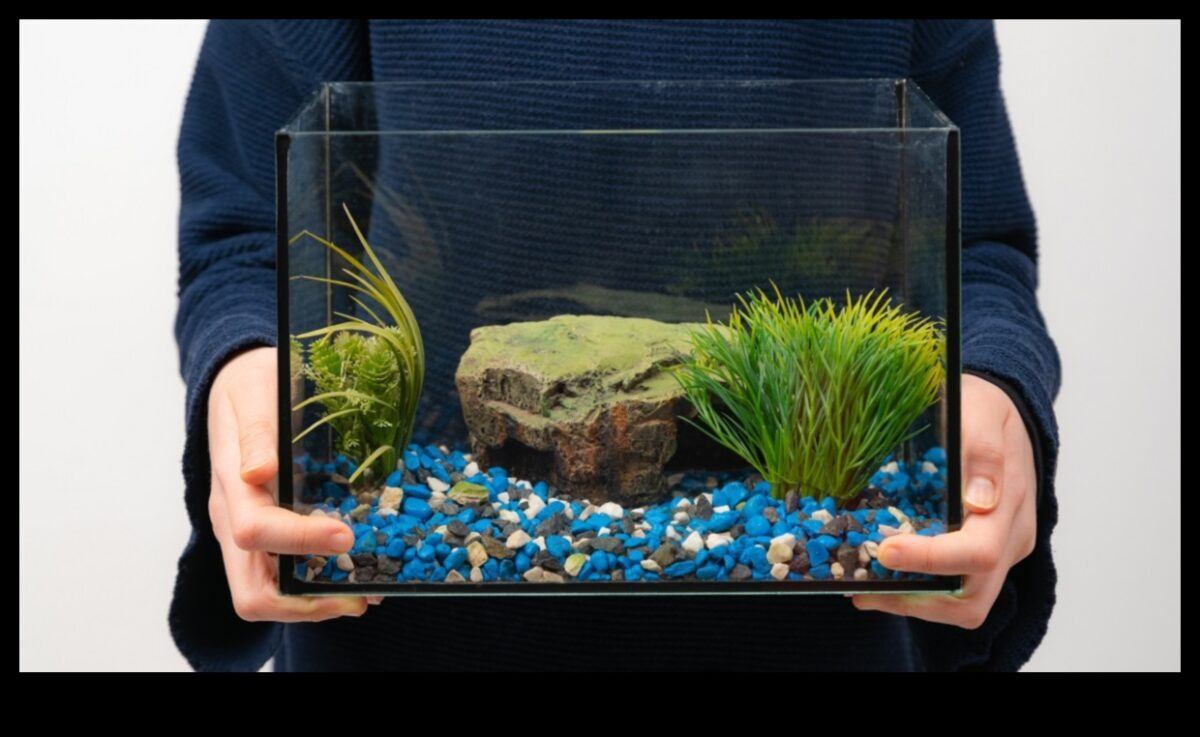 Fish Tank DIY המשך: מיחזור ו-Upcycling בעיצוב אקווריום