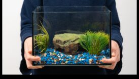 Fish Tank DIY המשך: מיחזור ו-Upcycling בעיצוב אקווריום
