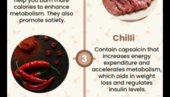 דיאטות הרזיה ומטבוליזם: הבנת הקשר