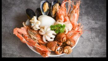 המטבח הדגי המשך: חקר מעדני מאכלי ים גלובליים