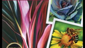 קסם עיפרון צבעוני: הפיכת קווים ליופי אמנותי