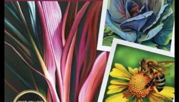 קסם עיפרון צבעוני: הפיכת קווים ליופי אמנותי