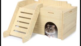 המשך מחבוא אוגר: ​​יצירת נקודות מסתור נבונות