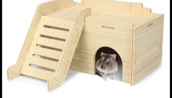 המשך מחבוא אוגר: ​​יצירת נקודות מסתור נבונות