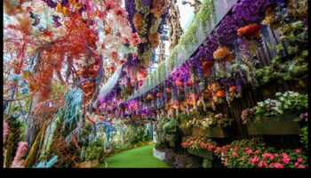 פנטזיה פרחונית: אביזרי עשה זאת בעצמך עם פרחי בד בעבודת יד