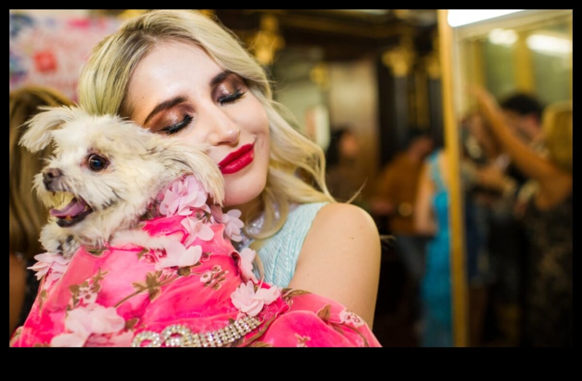 כלבים קוטור: לחקור את עולם האביזרים האופנתיים לכלבים