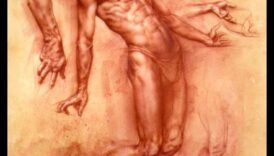 שליטה בציורי חיים: מאנטומיה לביטוי יצירתי