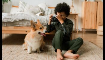 תענוגות מסנוורים ללא כפות: שמירה על חיית המחמד שלך נוצצת ומסוגננת