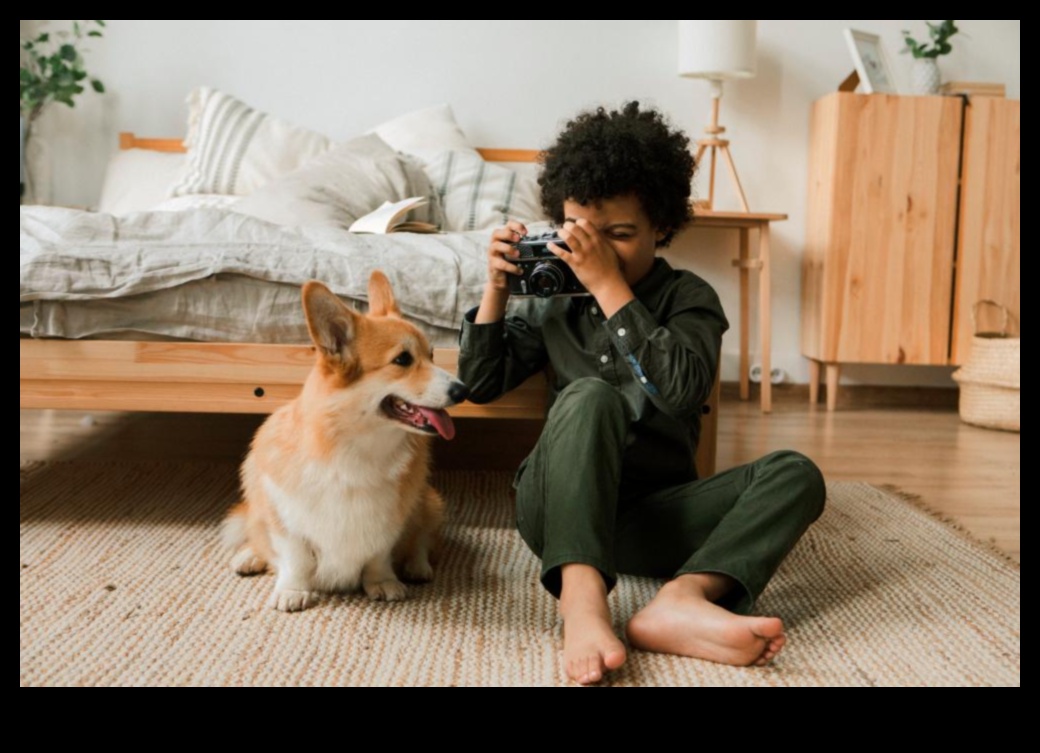 תענוגות מסנוורים ללא כפות: שמירה על חיית המחמד שלך נוצצת ומסוגננת